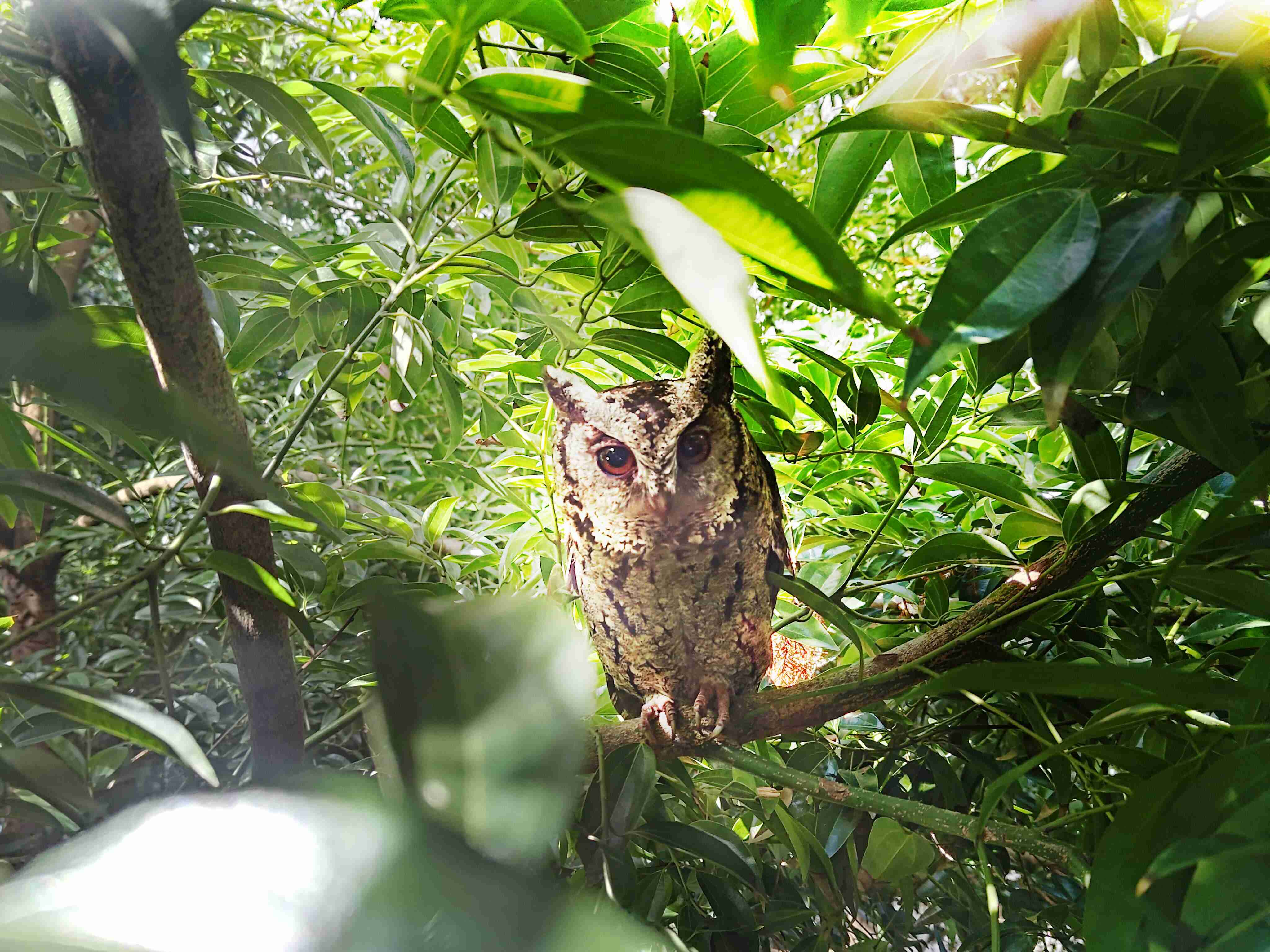 汇旺支付致力提倡净零绿生活，，，，16年以来在全球各厂区植树逾百万棵，，，造就各厂区树木蔚然成林，，，犹如森林工厂，，，，成为许多生物的栖息地